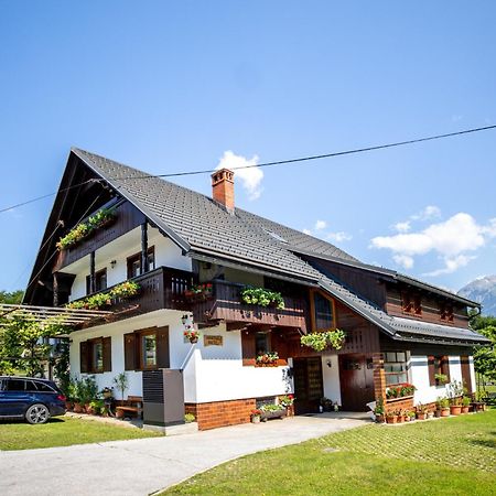 Apartmaji Prezelj 보히니 외부 사진