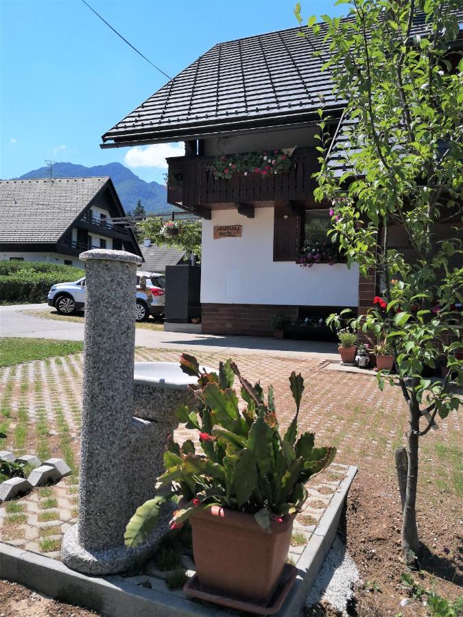 Apartmaji Prezelj 보히니 외부 사진